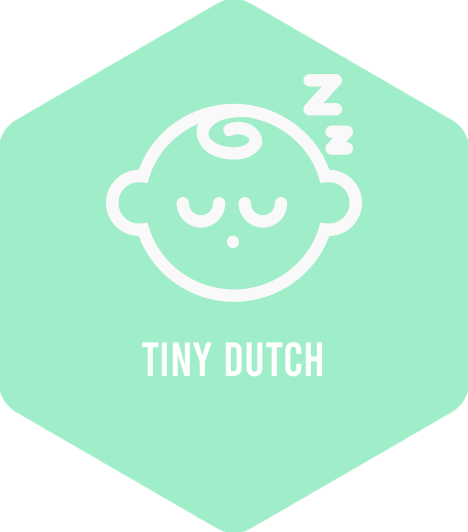 Logo Tiny Dutch