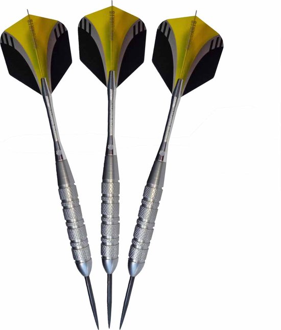 ABC Darts - Pentathlon Steeltip Dartpijlen Arctic - 21 gram van ABC Darts