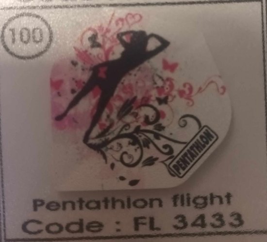 Dart Flights - 10 sets (30 stuks) - 100 micron - 3433 van Dart