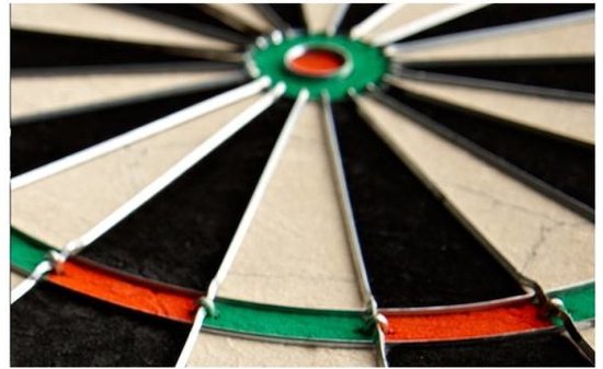 Dartbord Winmau Diamond wired