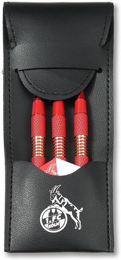 Dartpijlen Set met Etui - Professionele Darts met Logo en Opberghoes