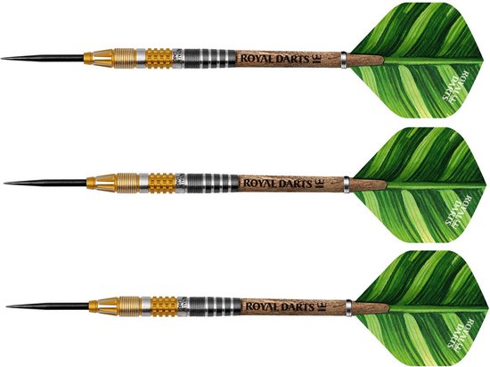 Darts Masterpiece 21 gr. Green Line NT95 van Dart