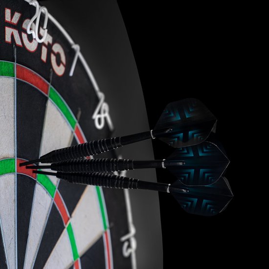 KOTO King Classic Edition Blauw + Surround +KOTO Accessory Kit Steeltip 90 stuks, 2 SetsKOTO darts van 23 gram, 6 SetsKOTO flights, 6 SetsKOTO shafts, 2 punch houders, shaft ringen en flight beschermers van KOTO