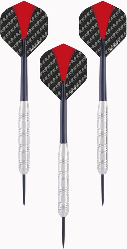 Longfield dartpijlen - 6x st - nickel silver - 21 grams - darten - darts - pijltjes - speelpijlen - dart sport artikelen van Merkloos