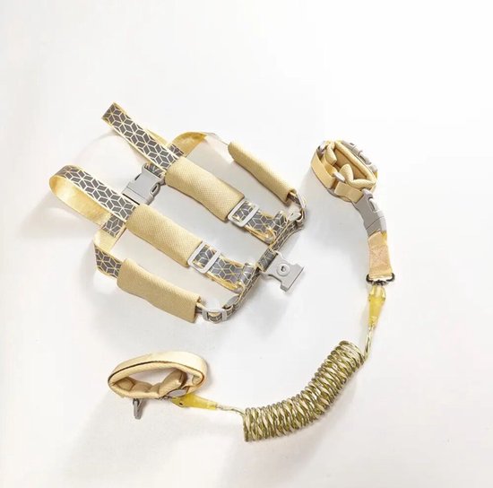 Moments 2 in 1 wandeltuigje - Kindertuigje en Polstuigje met Slot - Glow in the Dark - Goud/ Zandkleurig - looplijn - Glow in the Dark van Moments