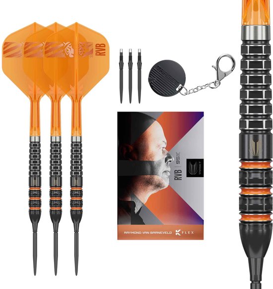 Target Raymond van Barneveld 95K Swiss Point 95% - Dartpijlen van Target