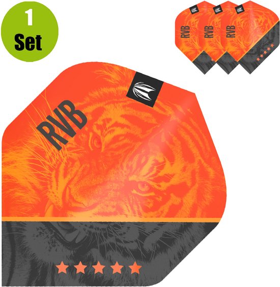 Target Raymond van Barneveld Dartflight G4 van Target