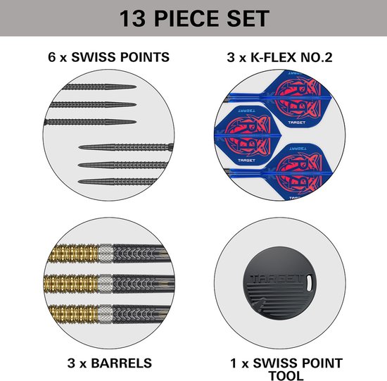 Target Raymond van Barneveld G6 Swiss Point 95% - Dartpijlen 21 Gram van Target