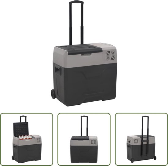 The Living Store Draagbare Koelbox - Elektrisch - 30L - Zwart/Grijs - PP/HDPE van The Living Store